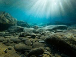 underwater